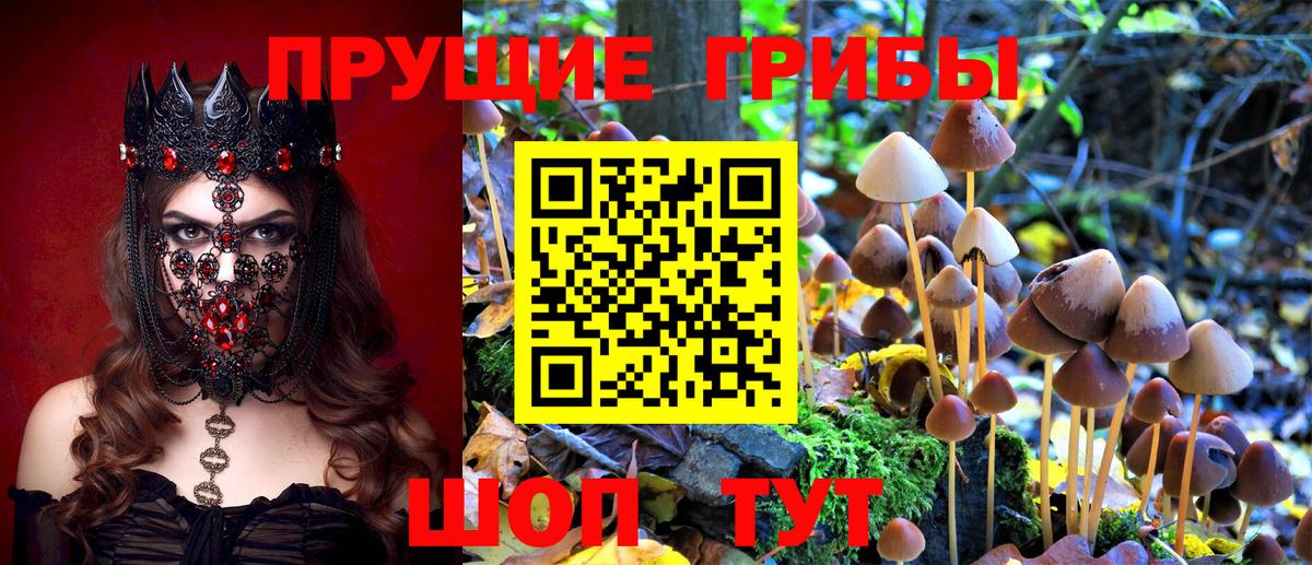 Псилоцибиновые грибы мухоморы  Вход с VPN  Псилоцибиновые грибы ЛСД  наркота  Верхний Уфалей 